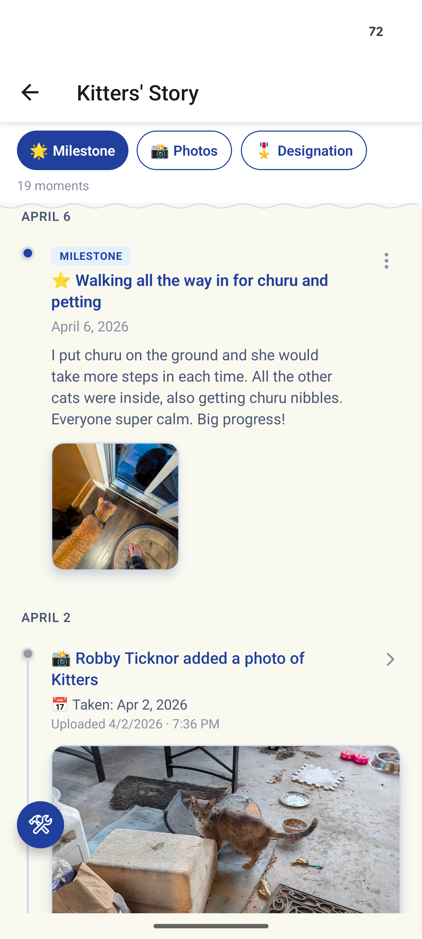Kitters' milestones in Trovvy tracking her journey to becoming an indoor cat